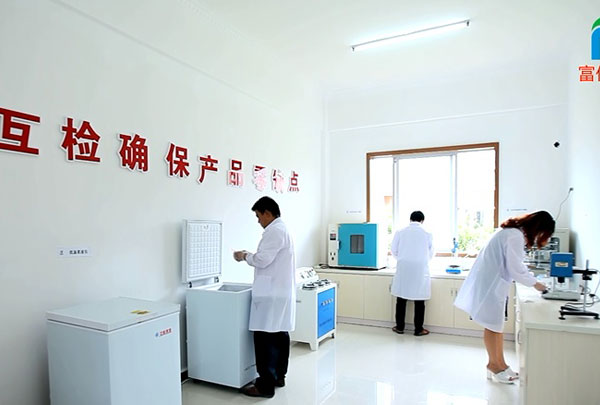 技術團隊正在工作